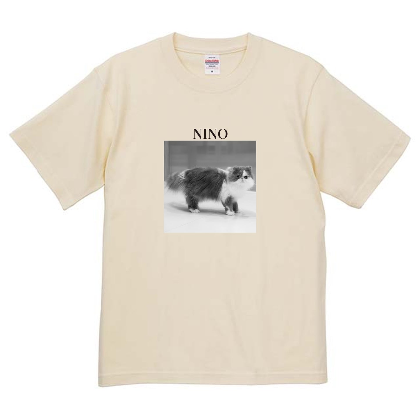 019
