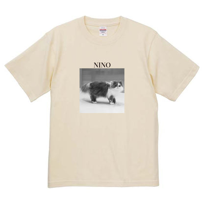 019