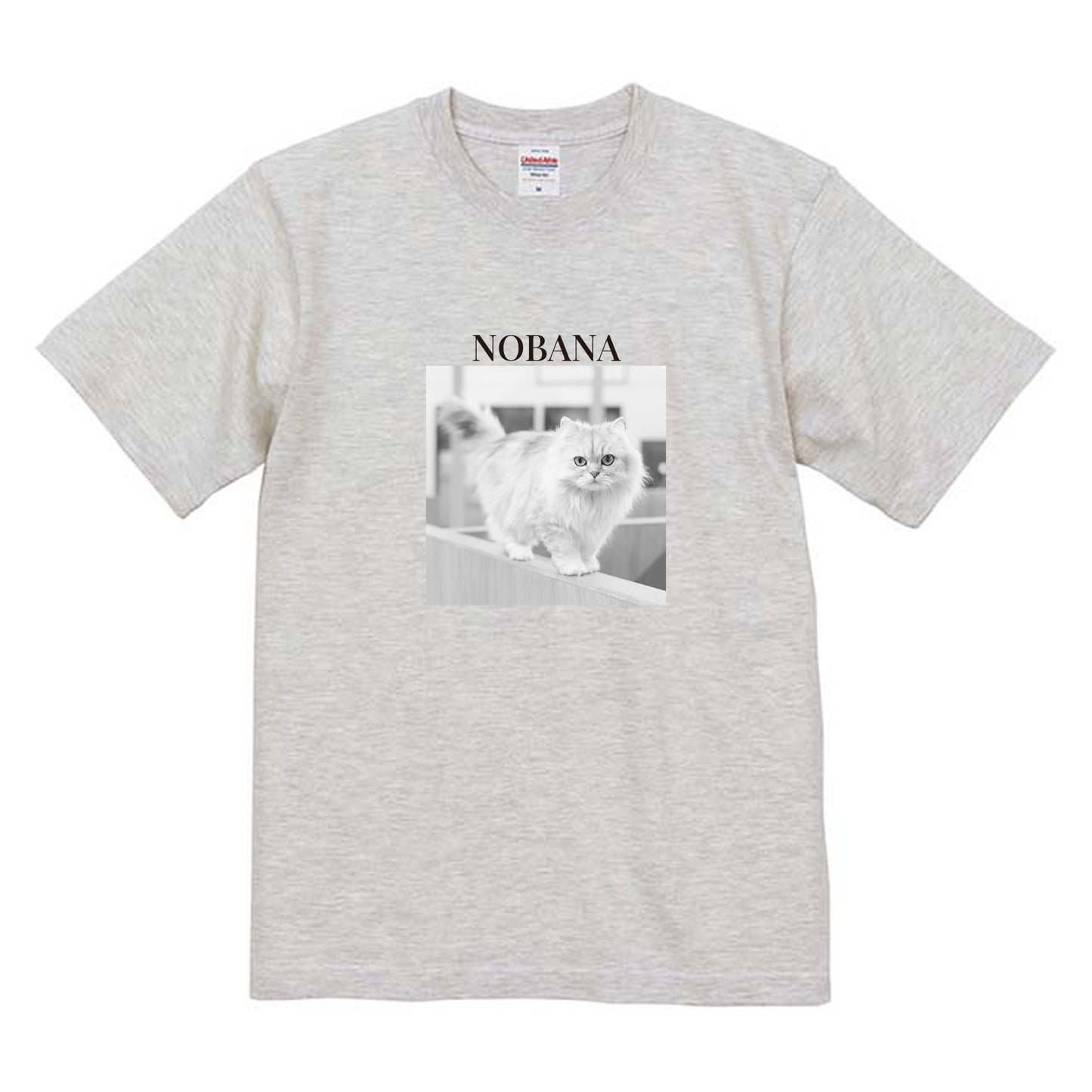 009