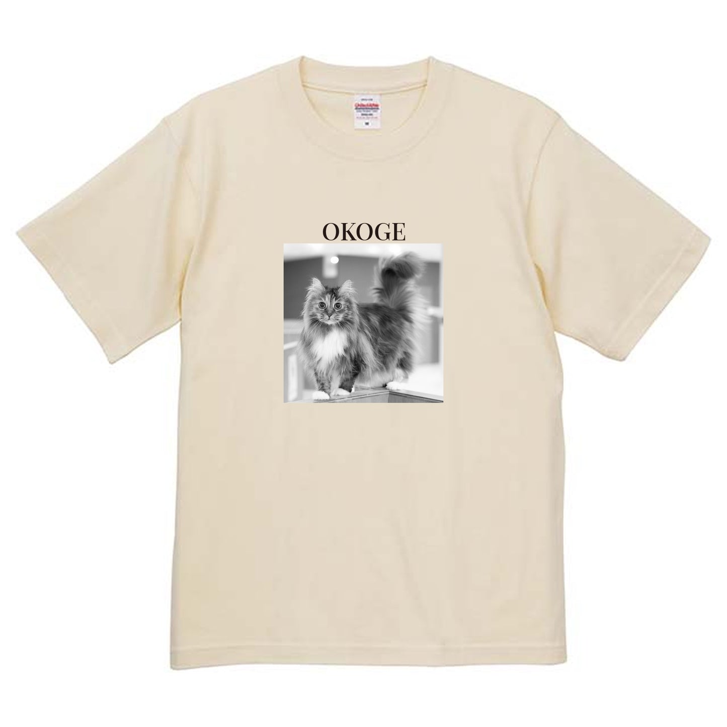 019
