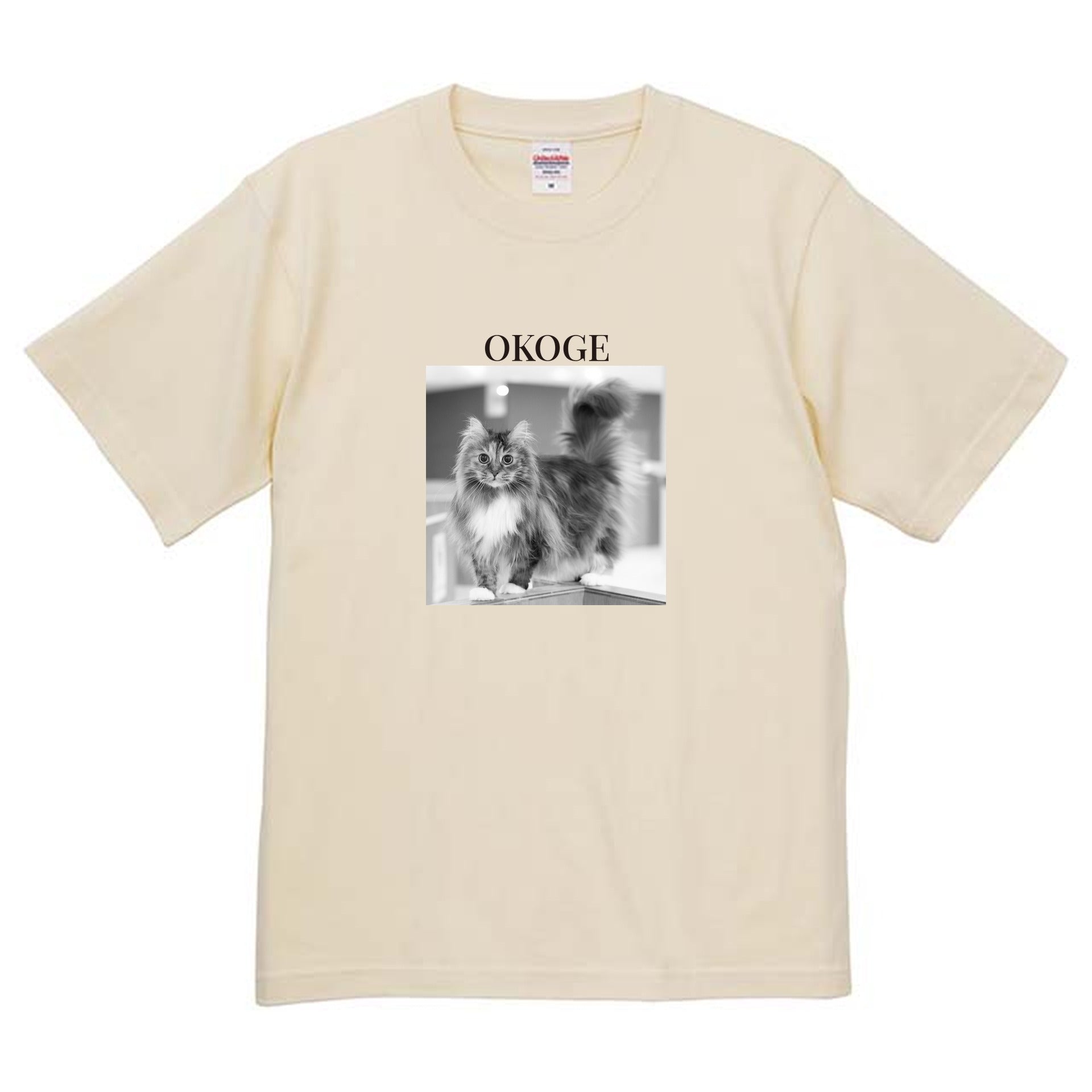 019