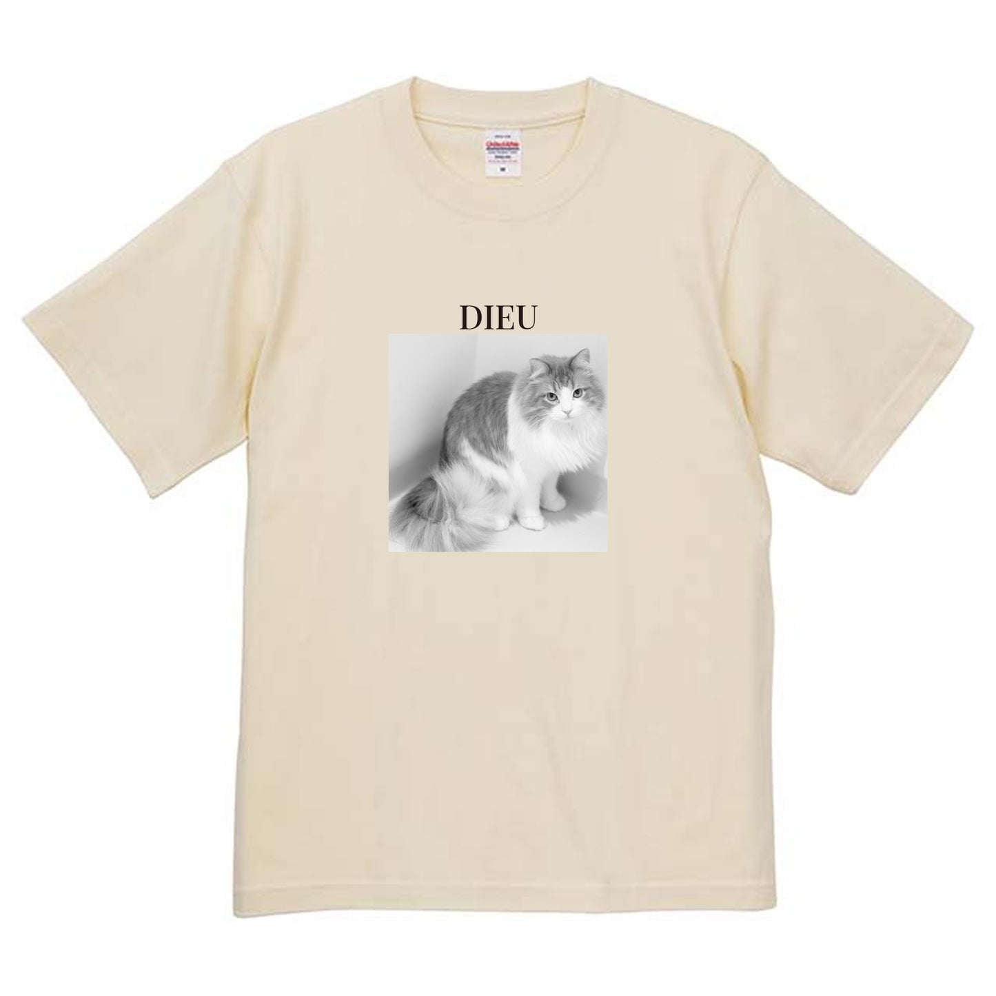 019