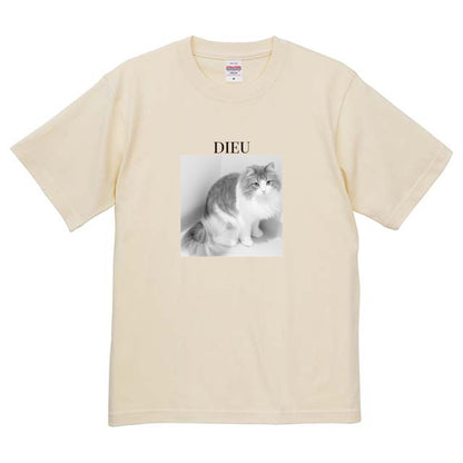 019