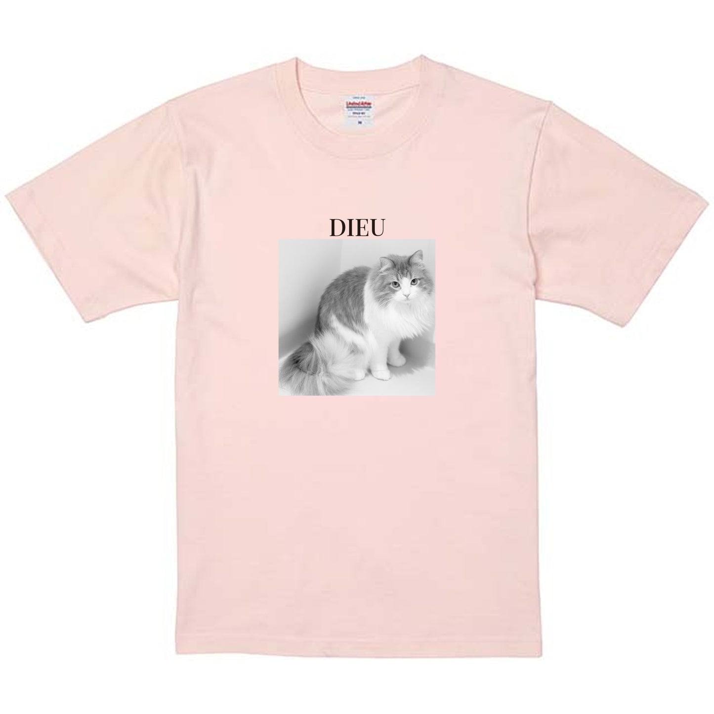 576