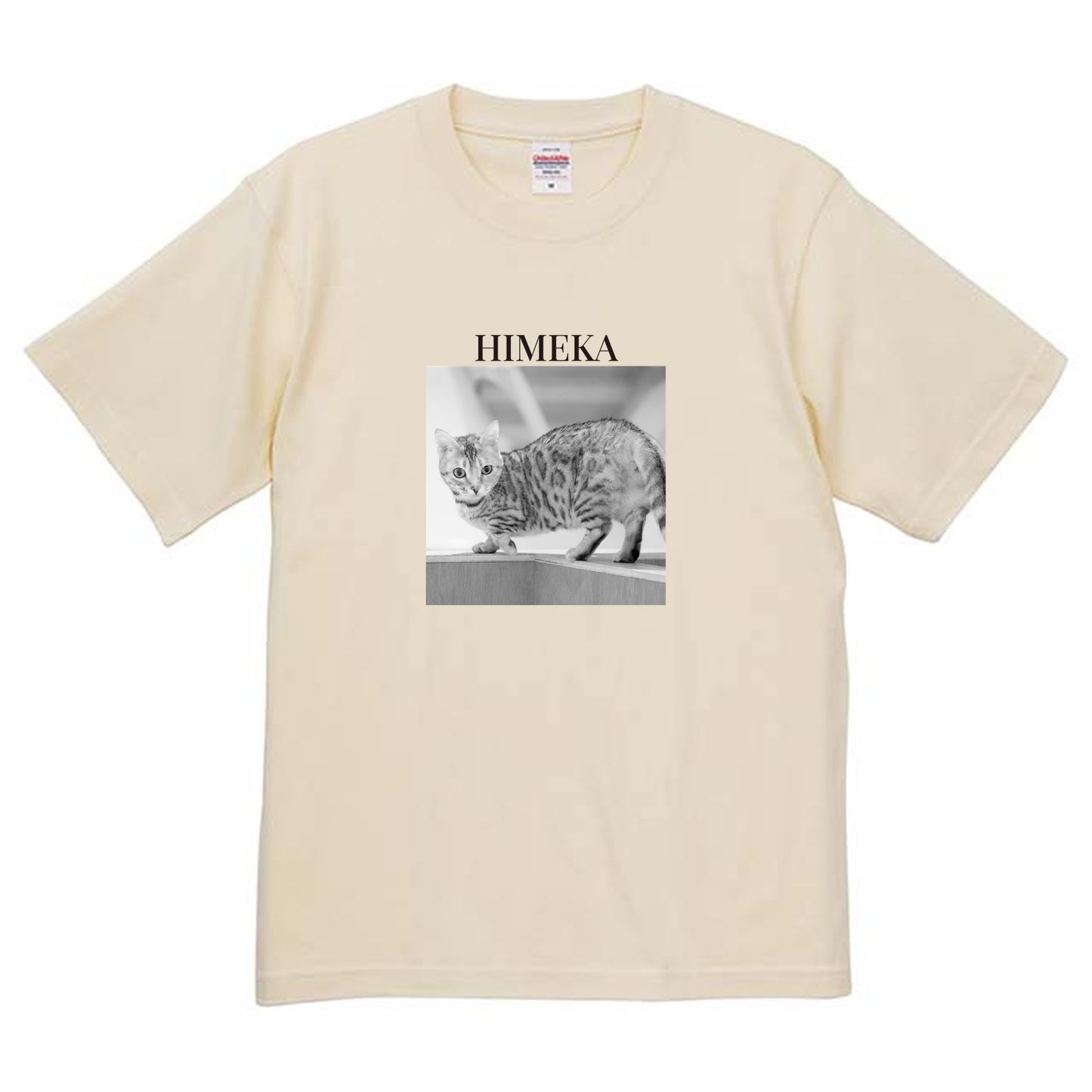 019