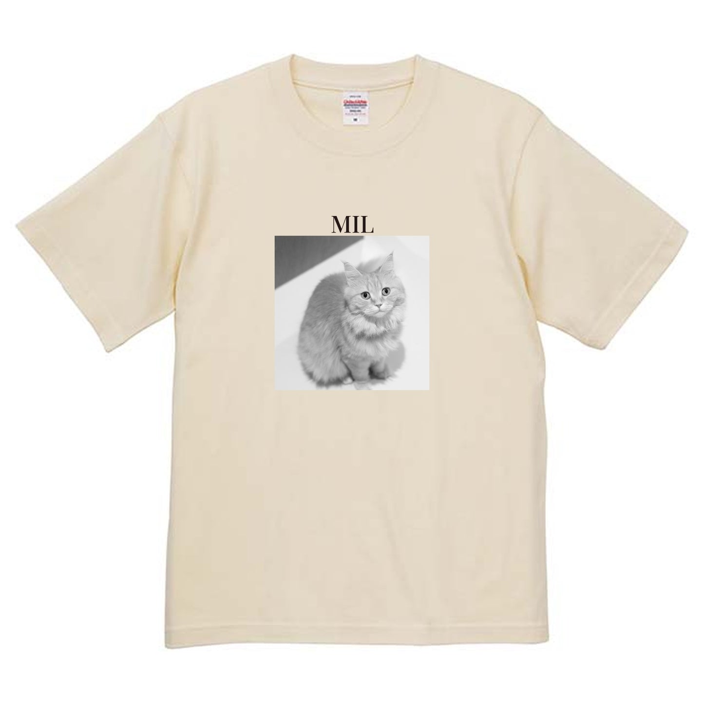 019