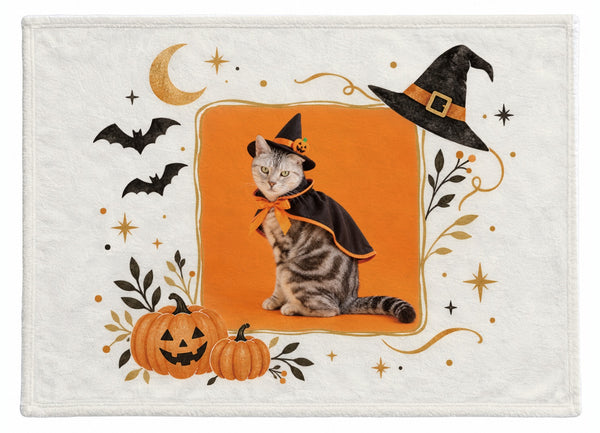 ダニエル ハロウィン限定ふわふわブランケット（M）