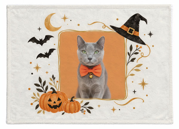 しんか ハロウィン限定ふわふわブランケット(M)