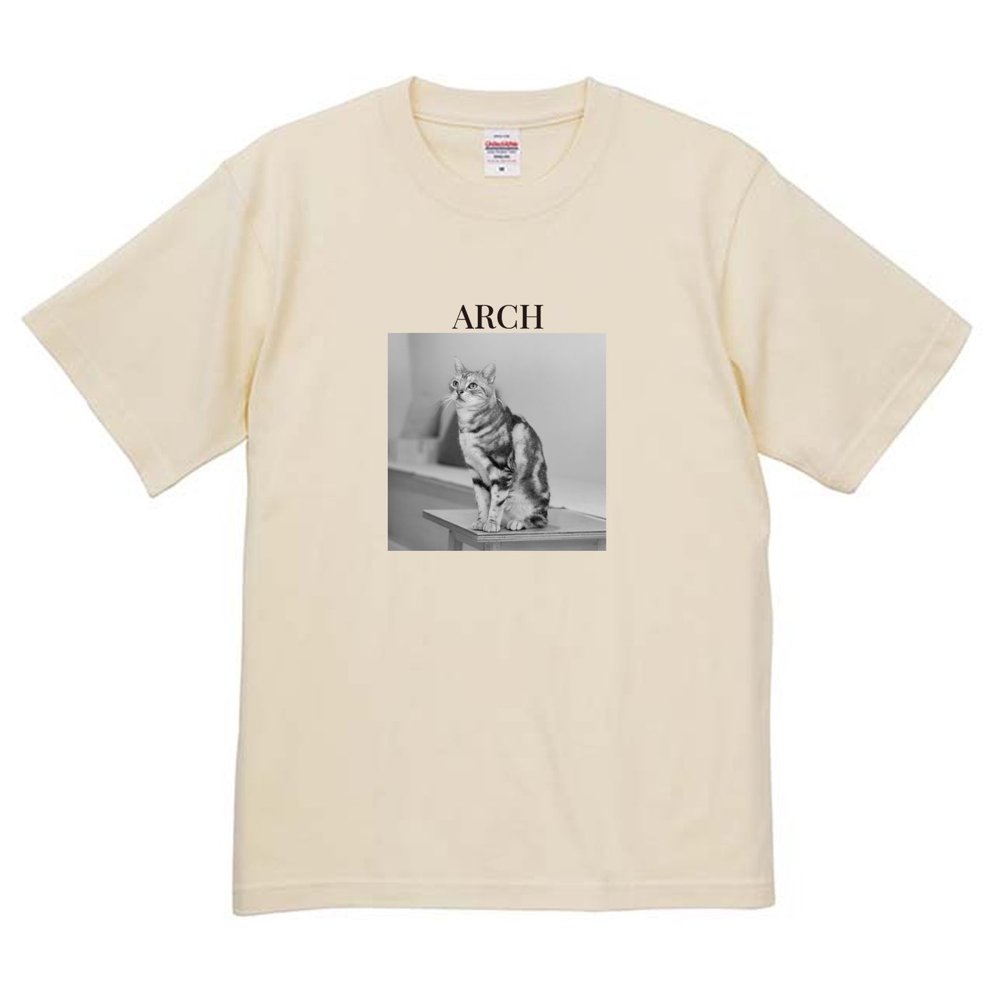 019