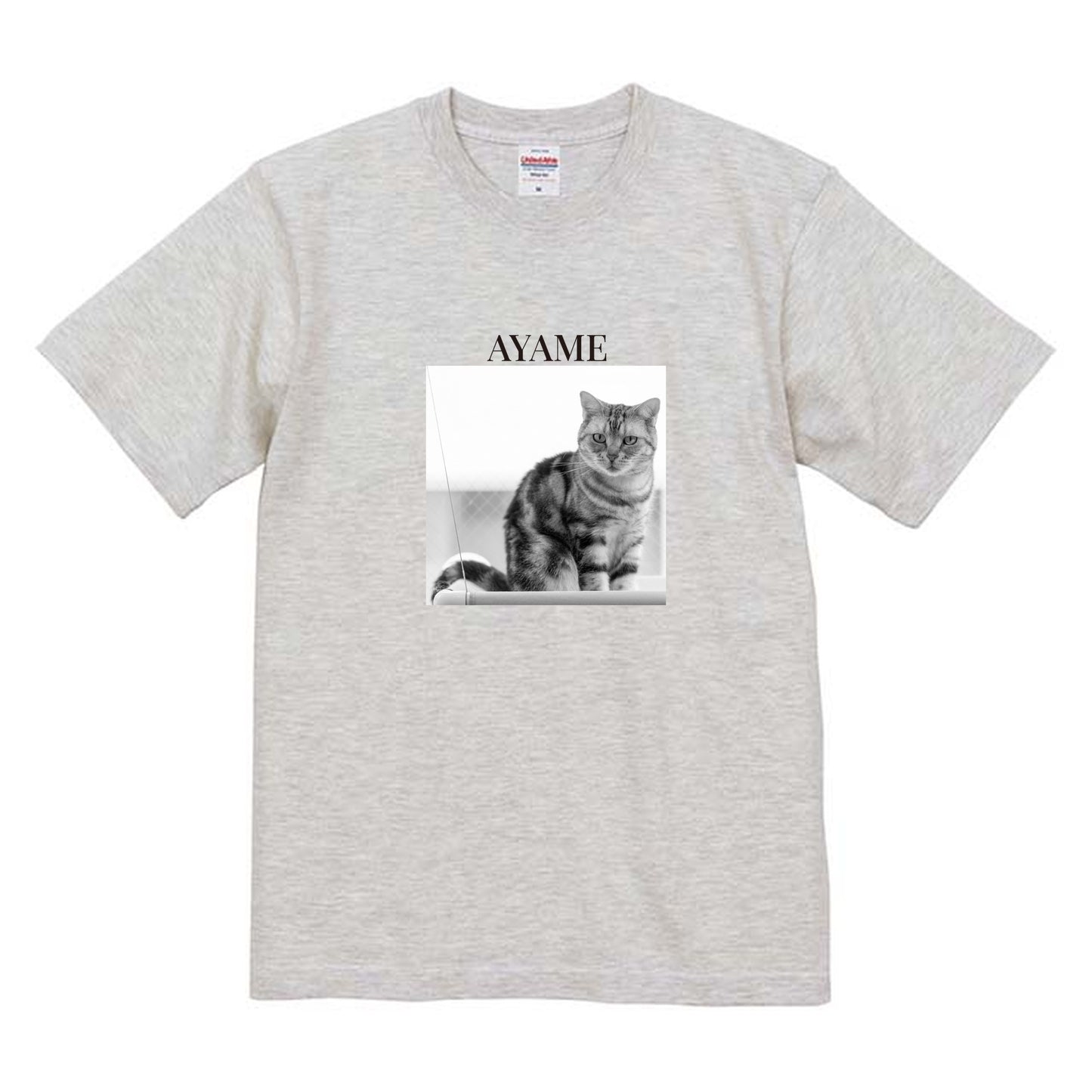 009