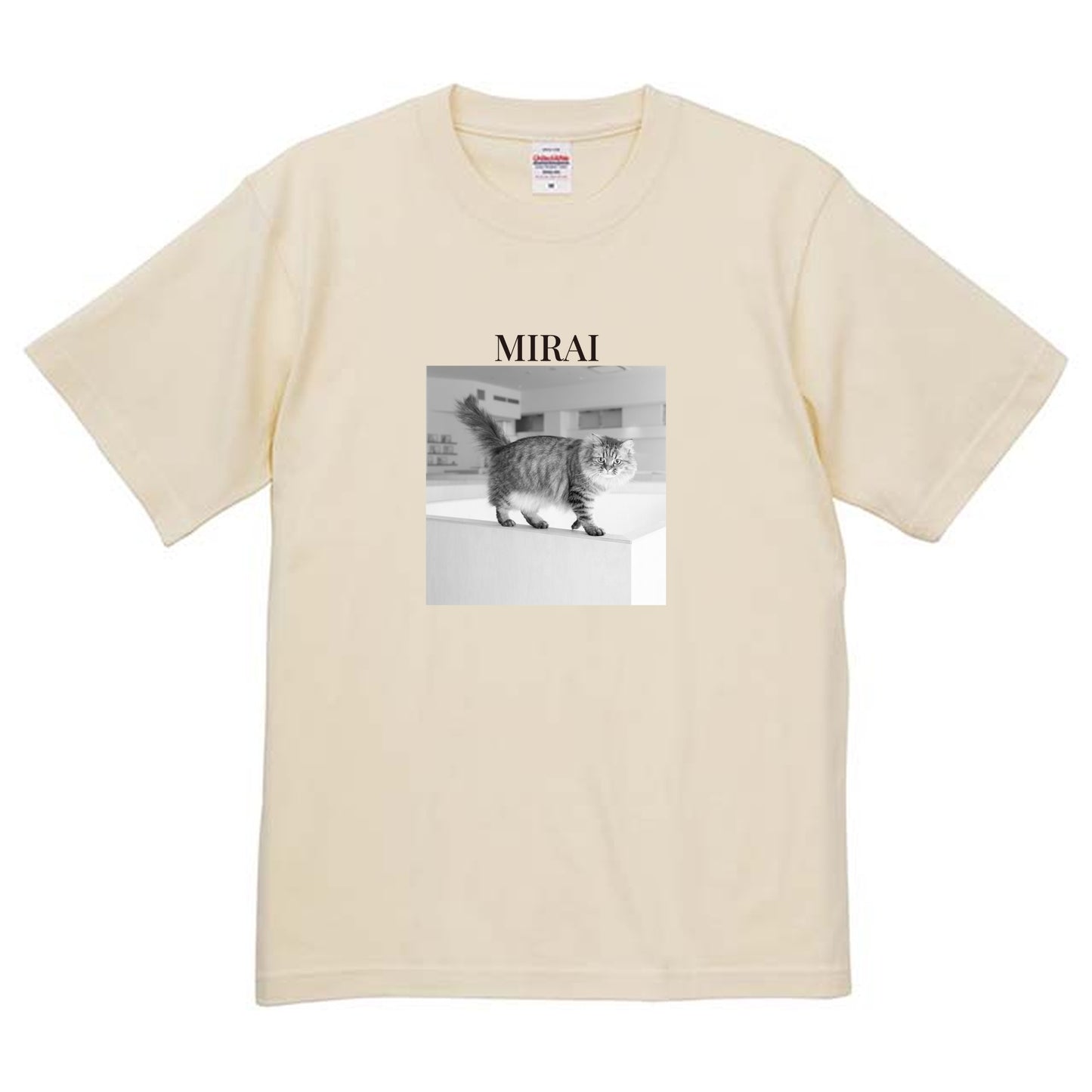 019