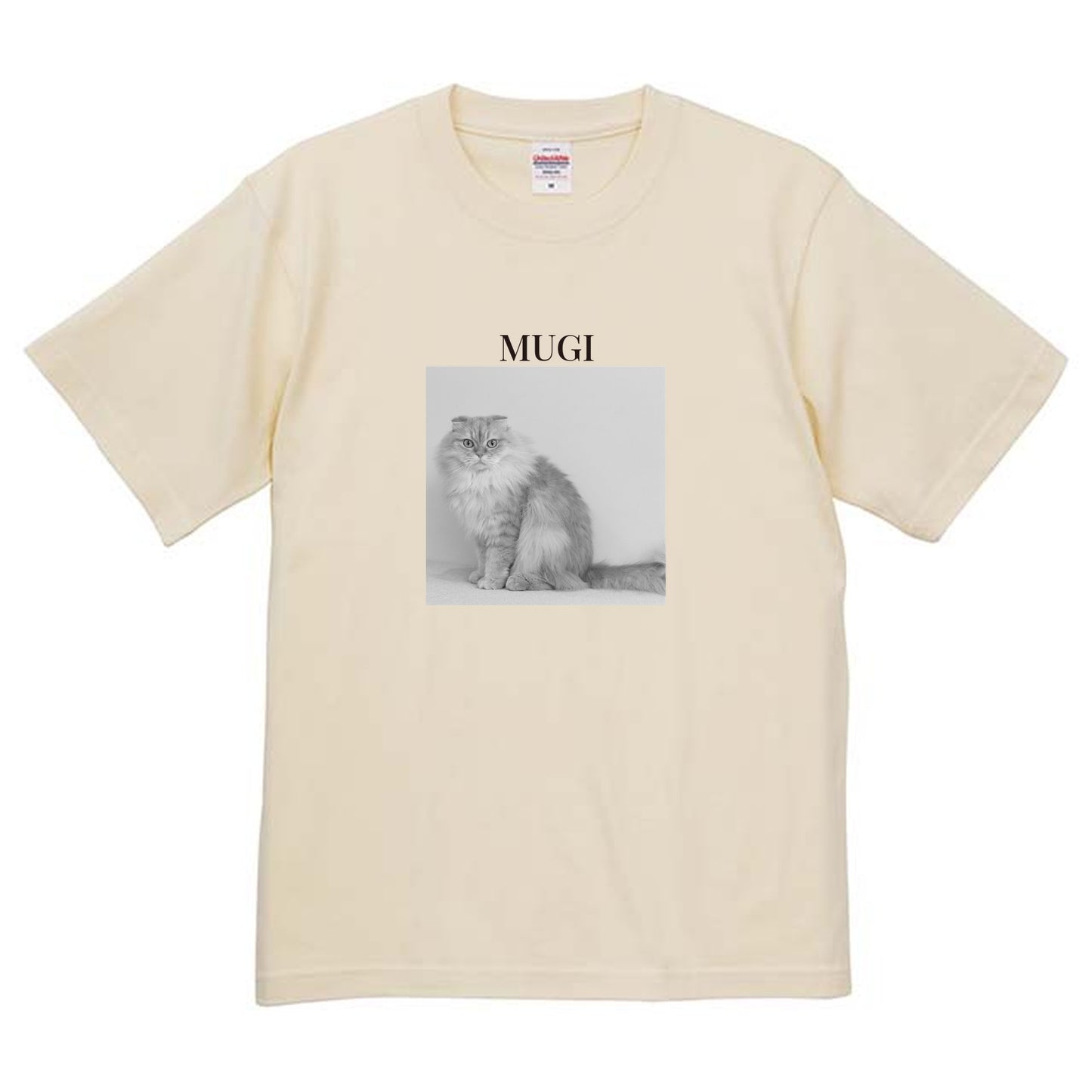 019