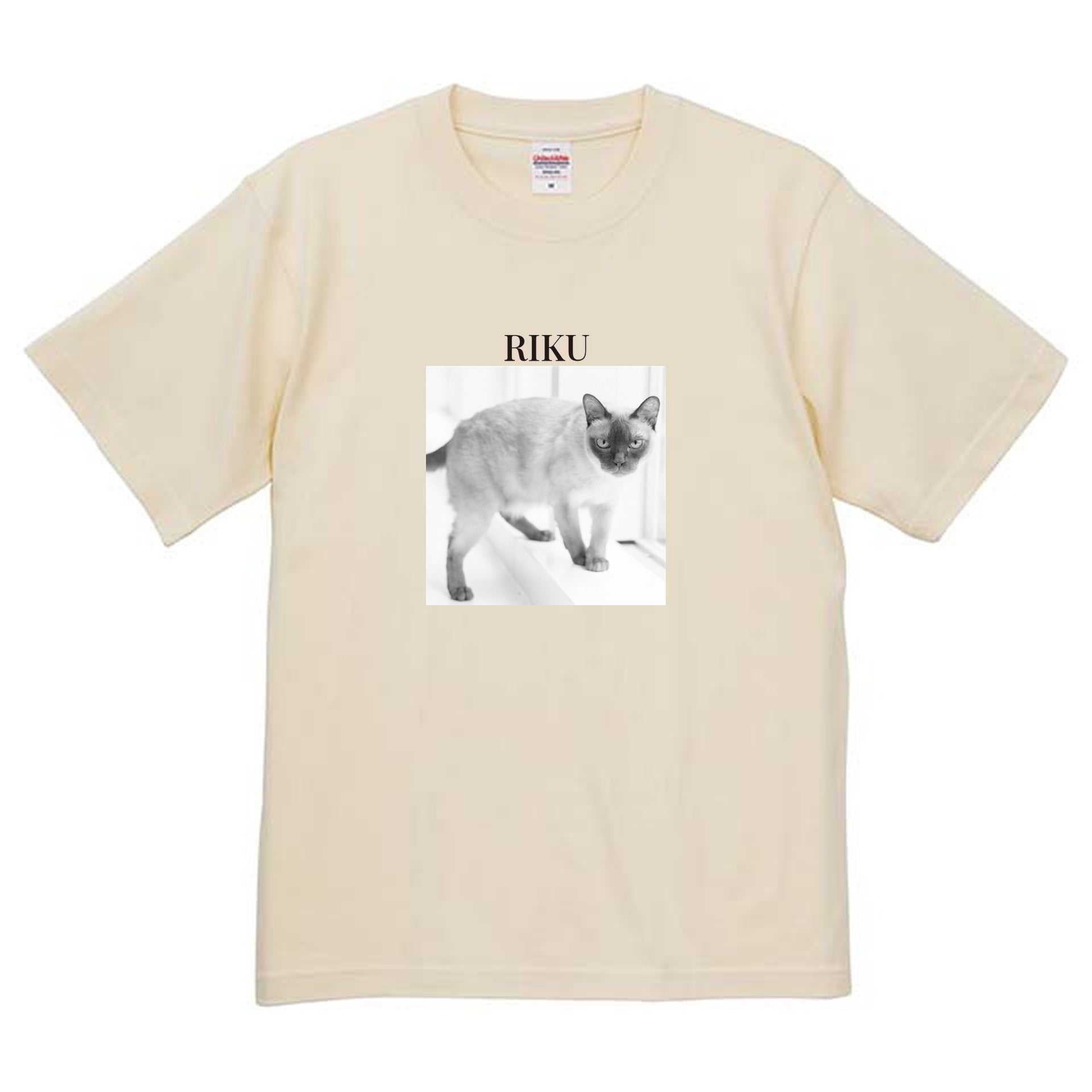 019