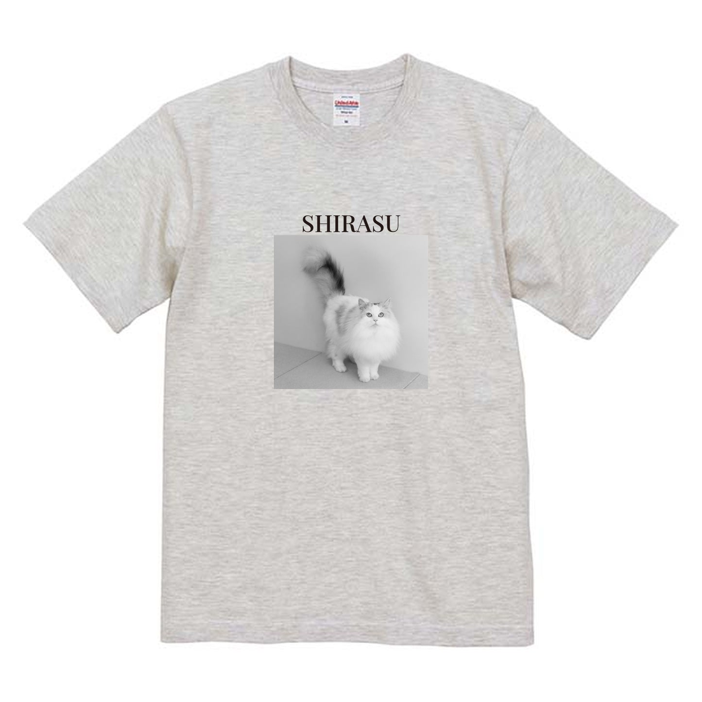 009