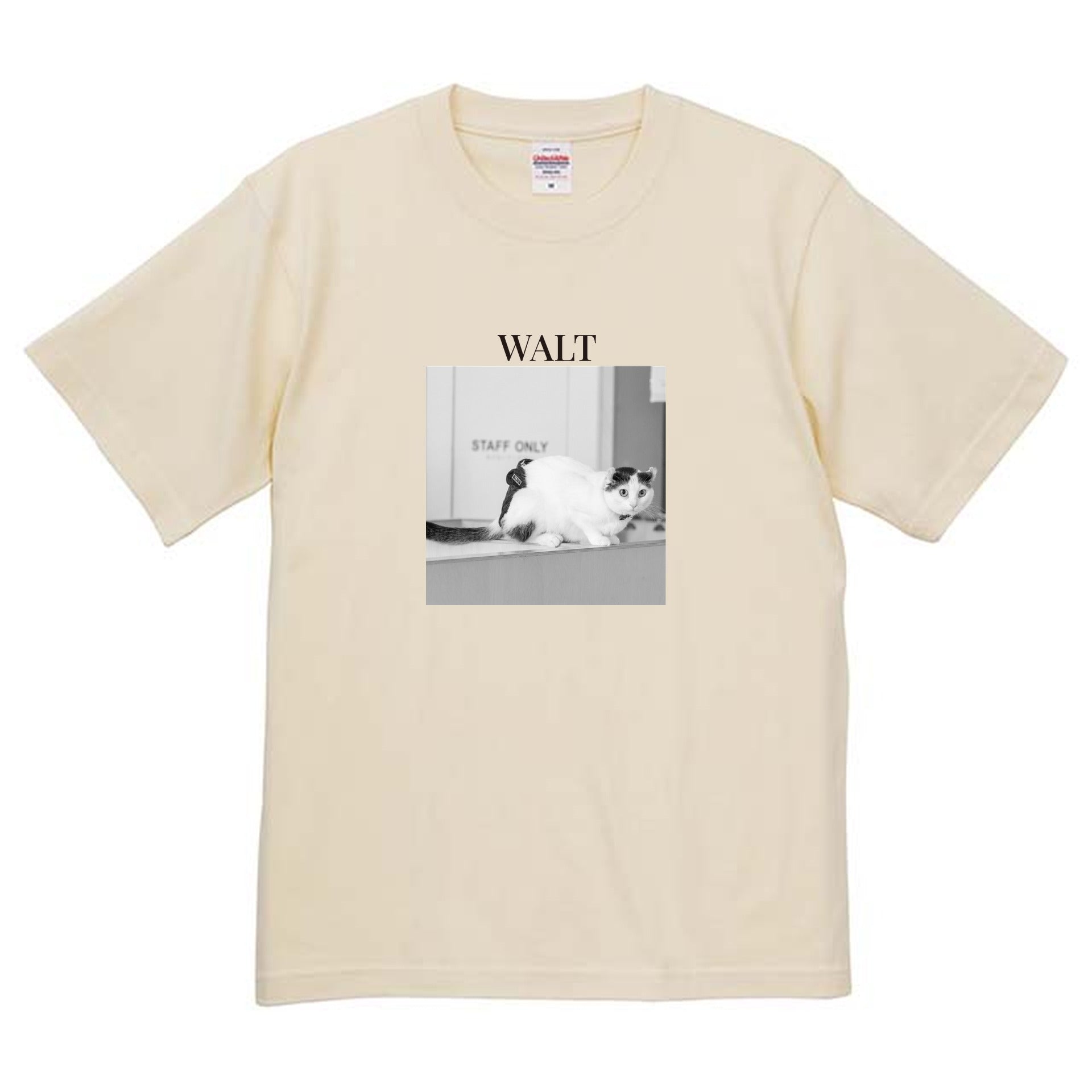 019