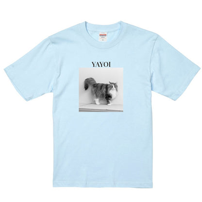 488