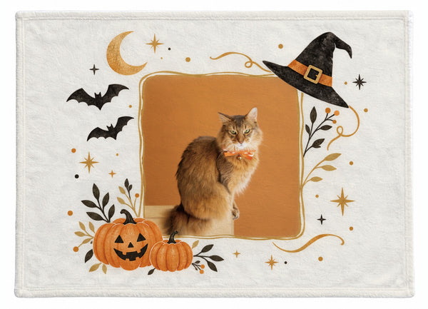 ロイ ハロウィン限定ふわふわブランケット（M）