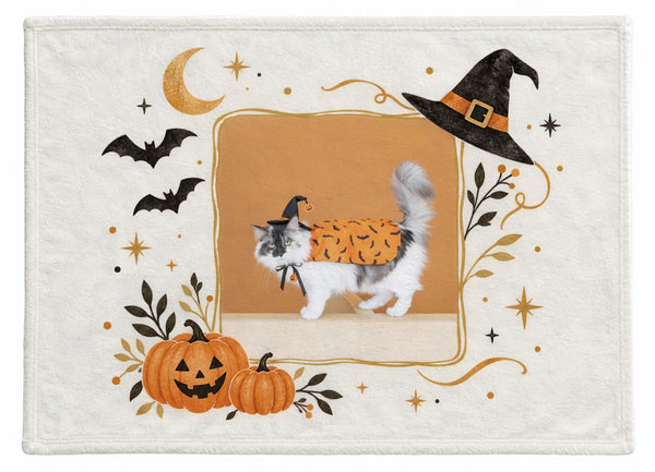 ヴェル ハロウィン限定ふわふわブランケット（M）