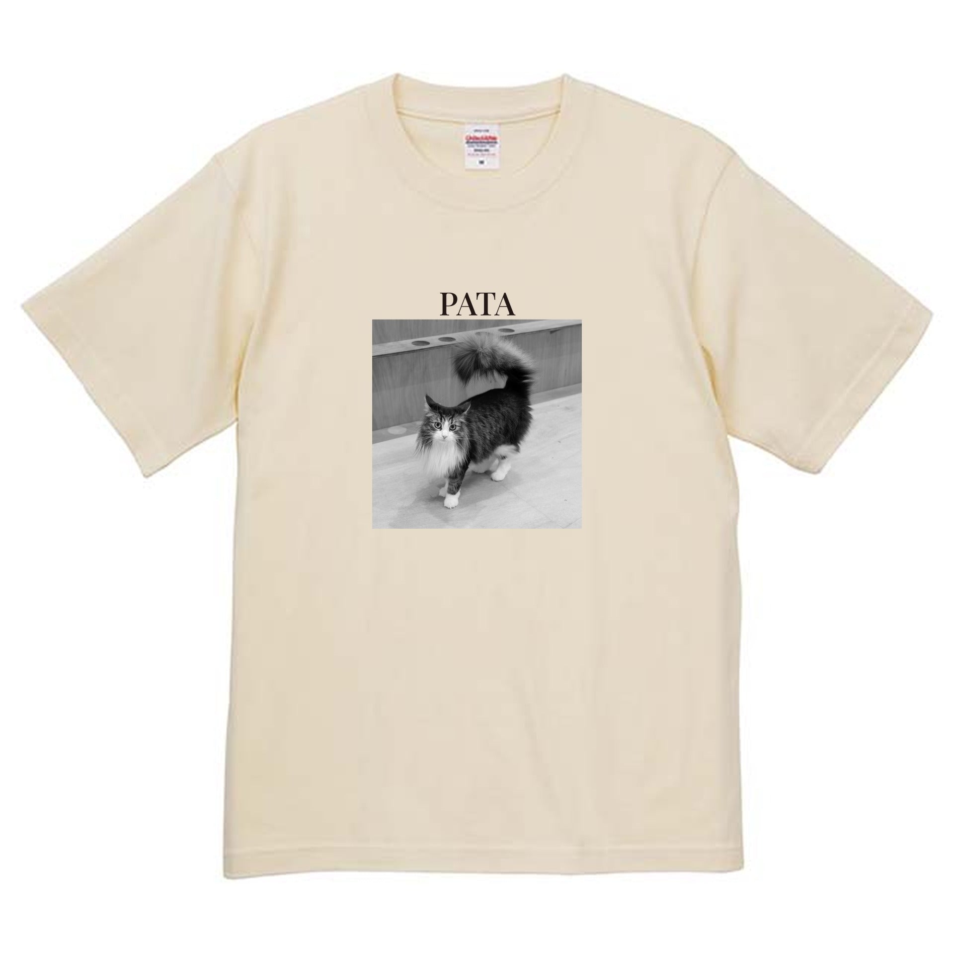 019