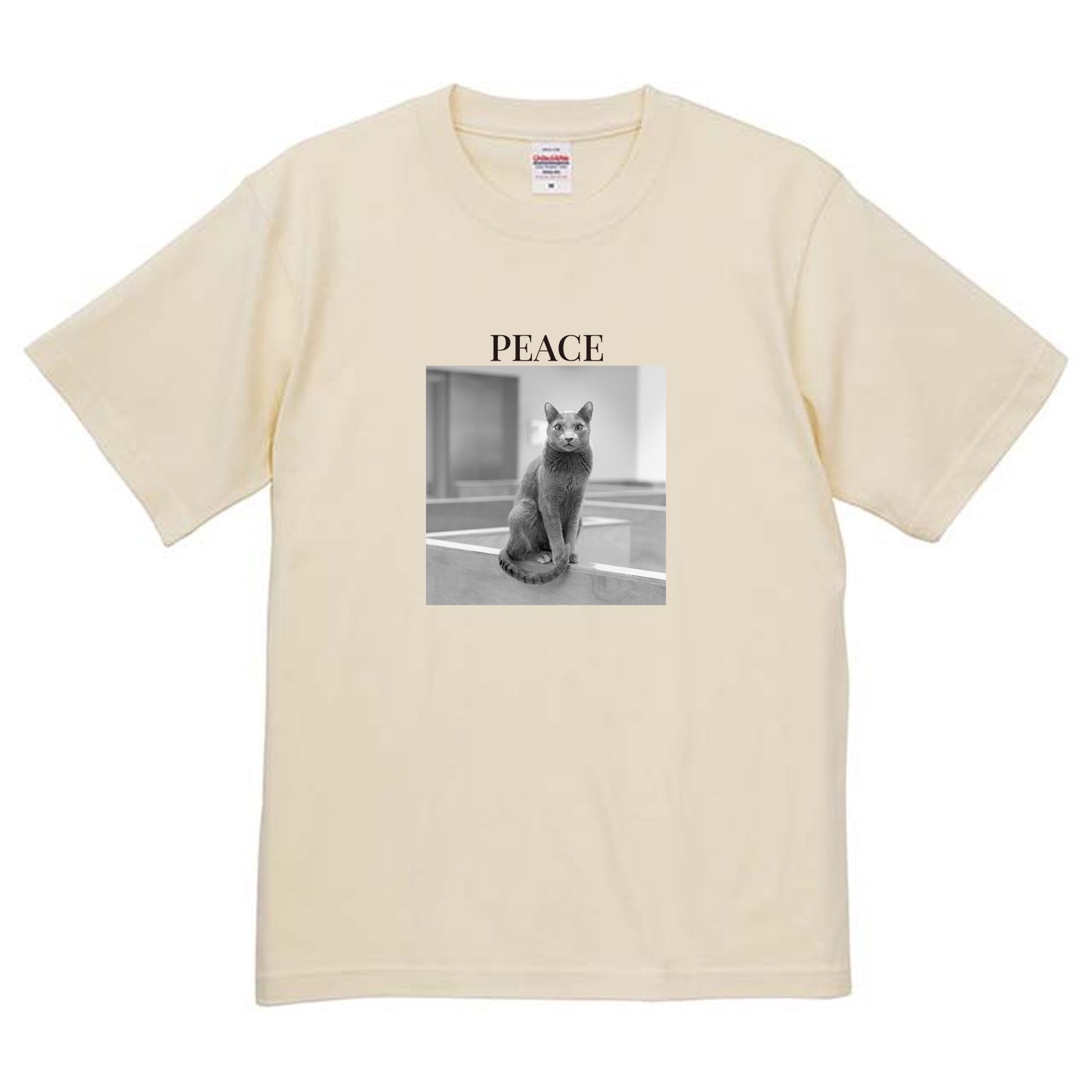 019