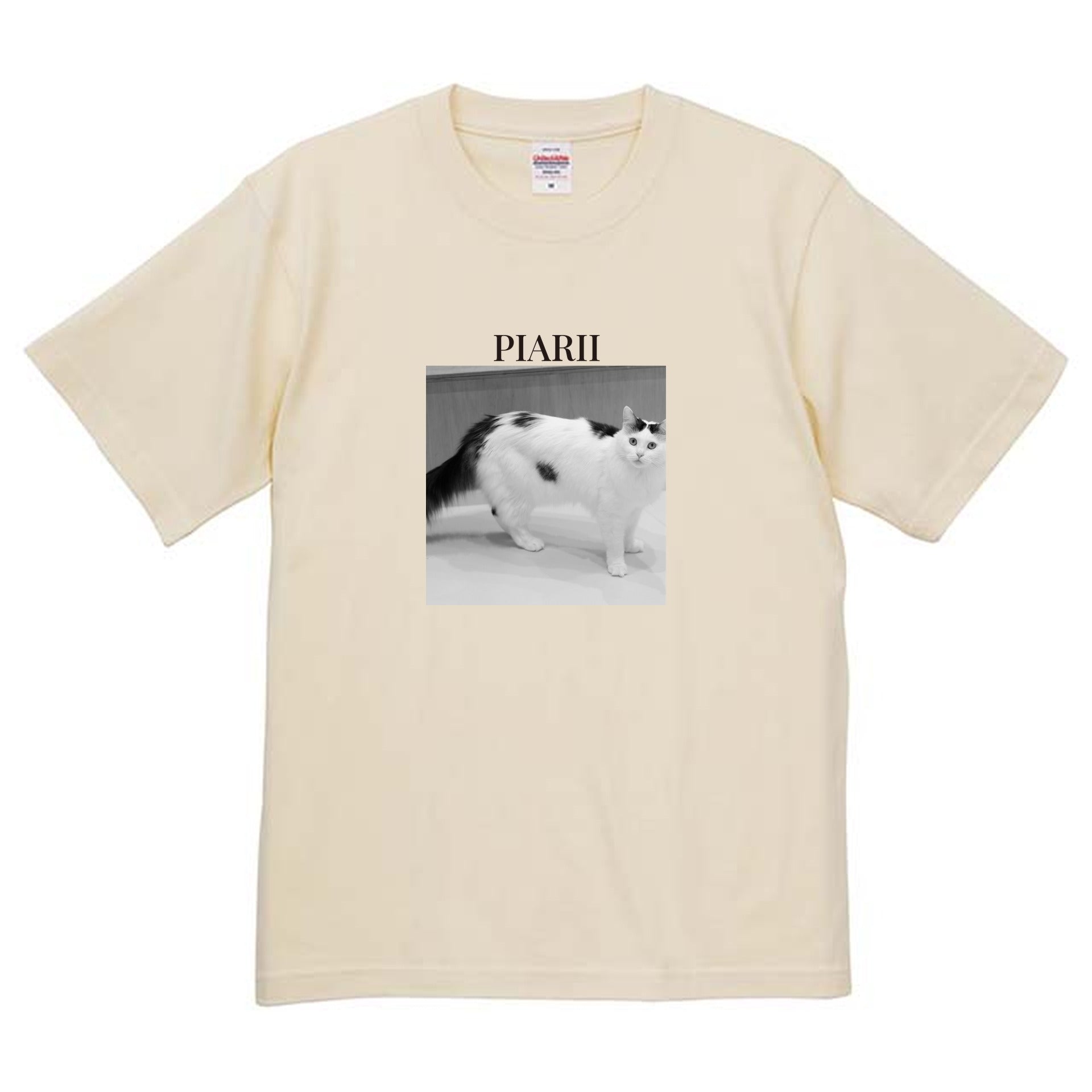 019