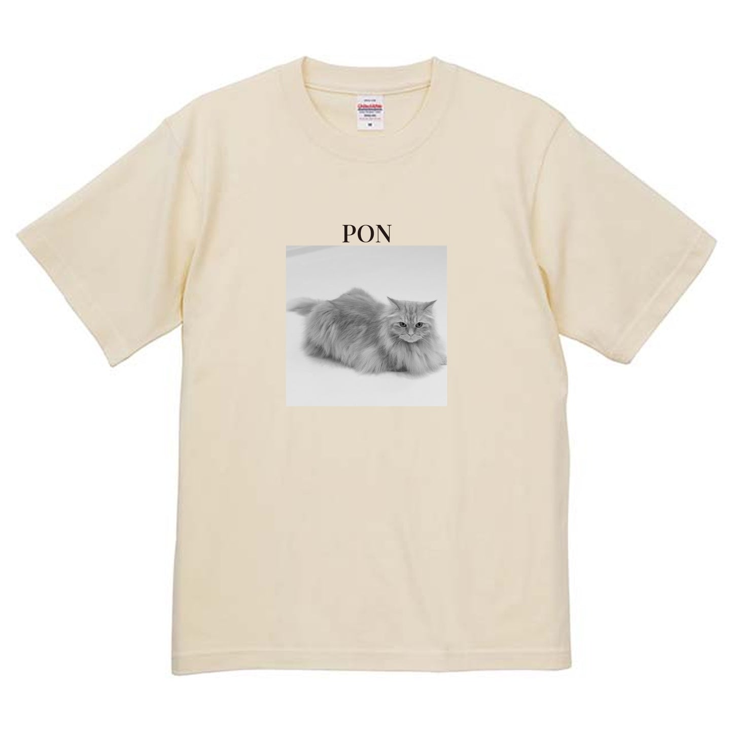 019
