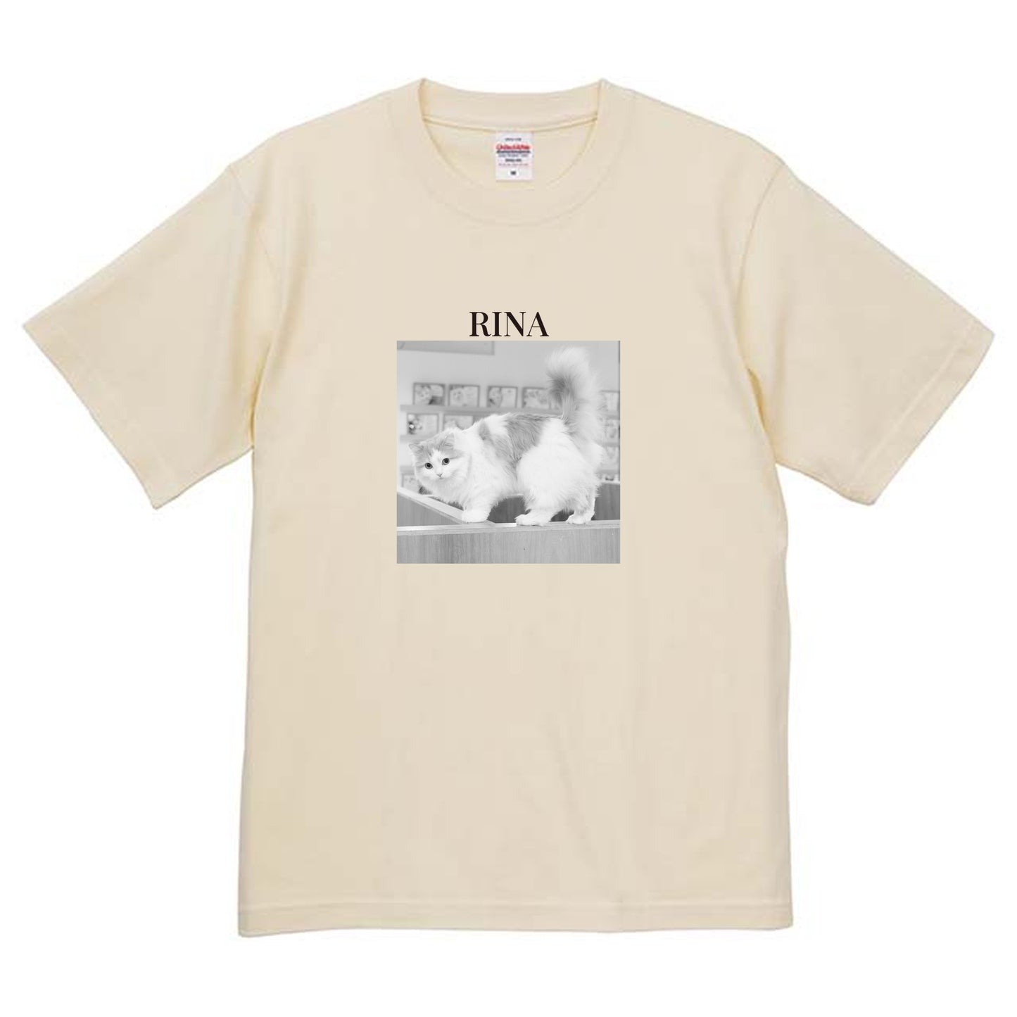 019