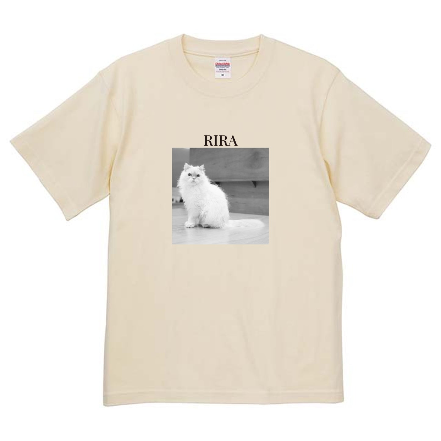 019