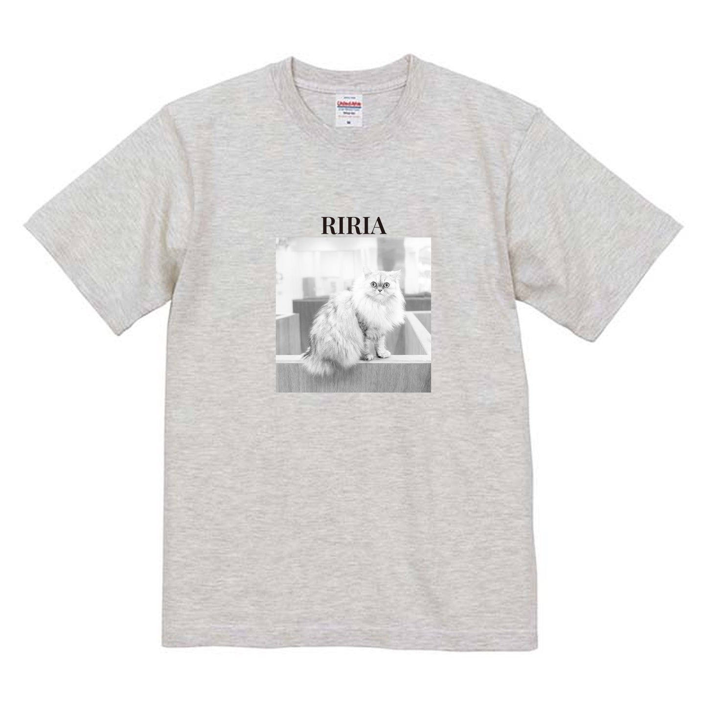 009