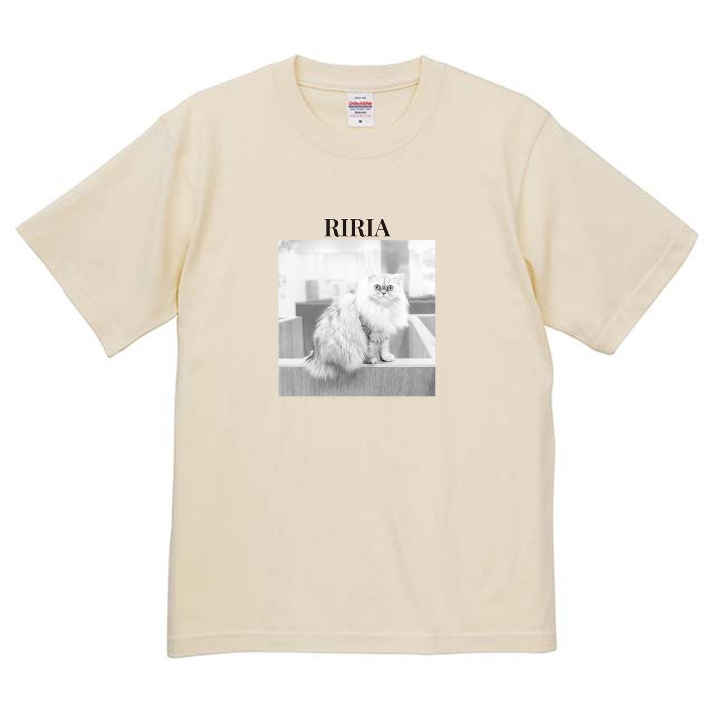 019