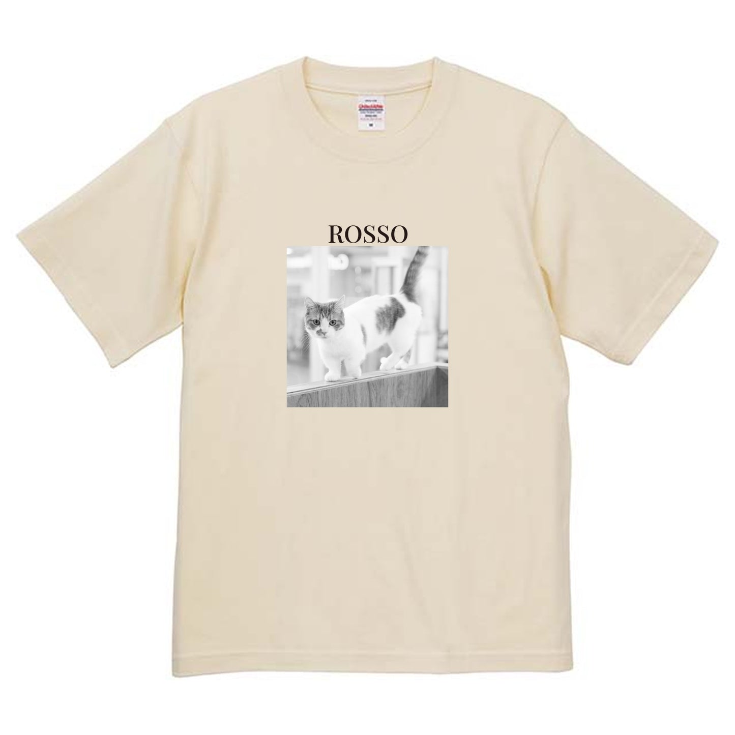 019