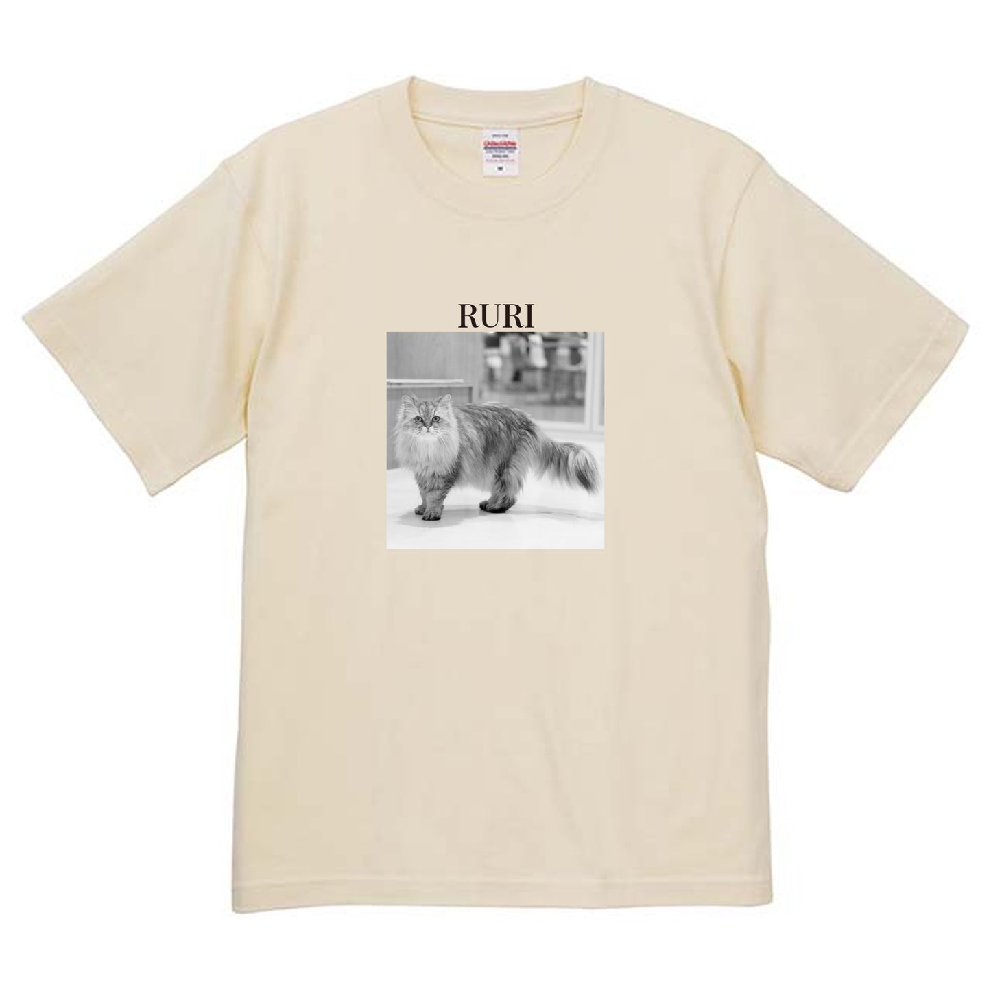019
