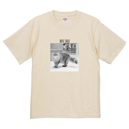 019
