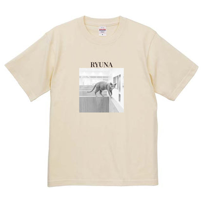 019