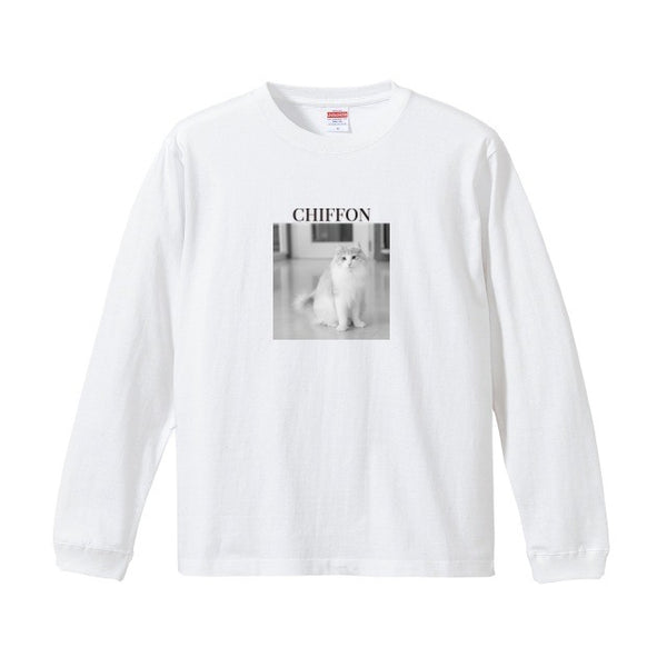 シフォン コットンロングTシャツ