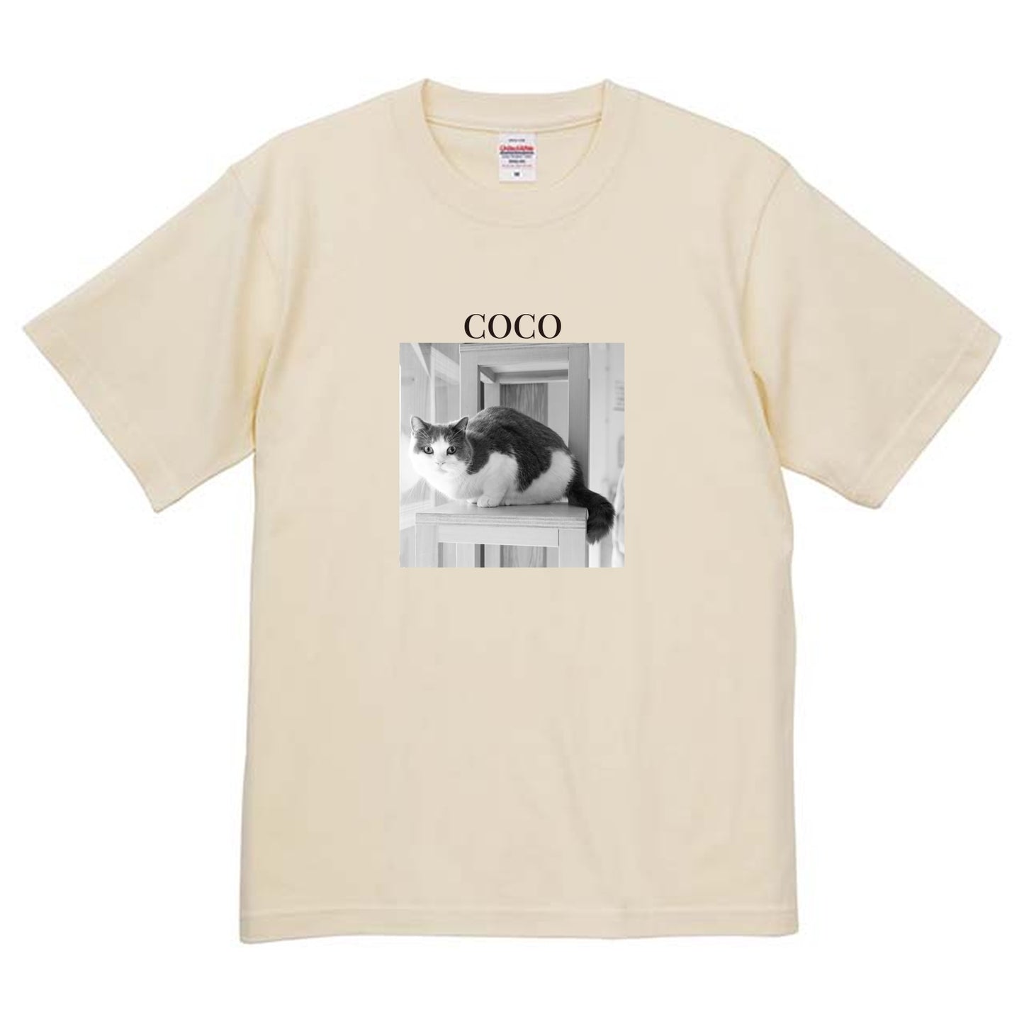 019
