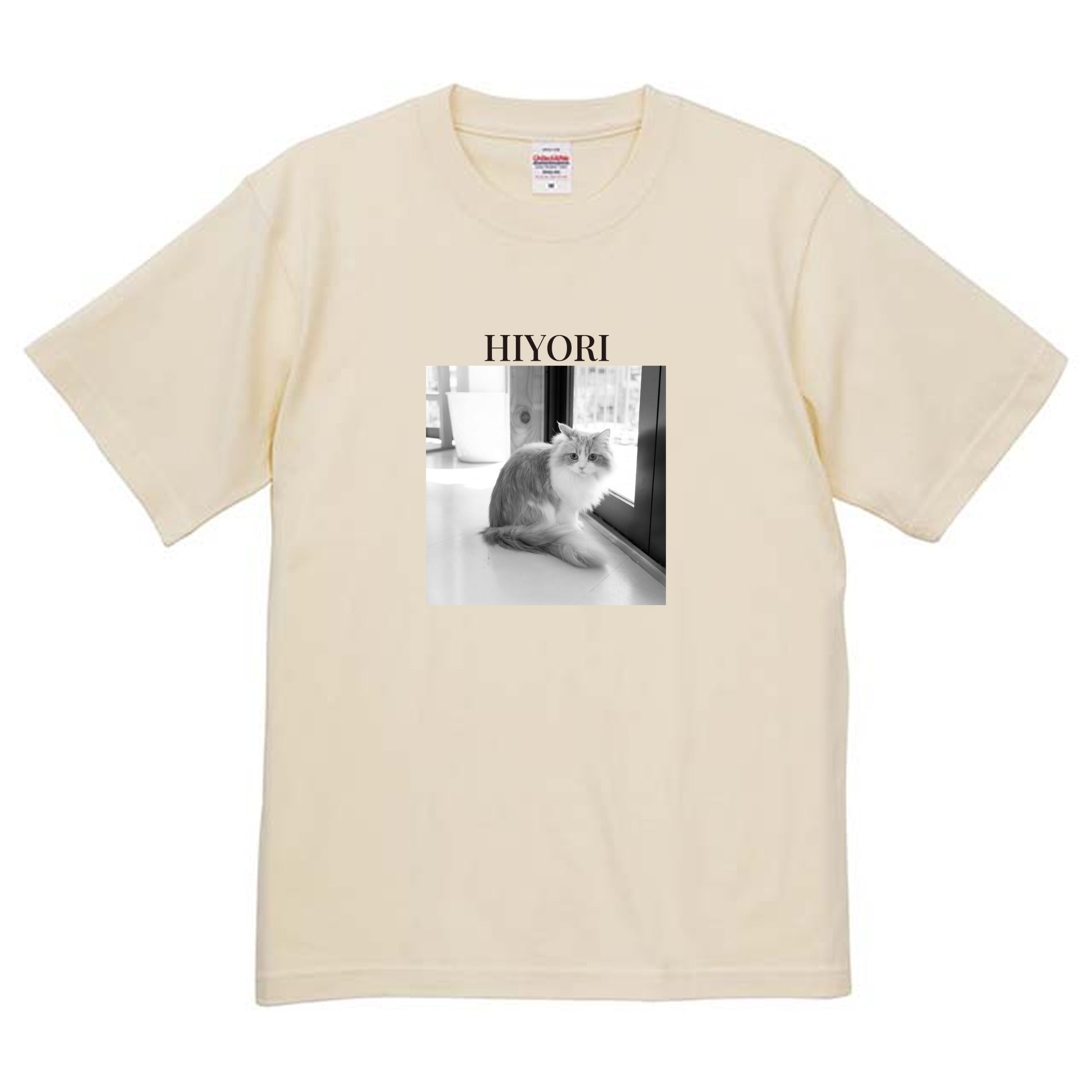 019