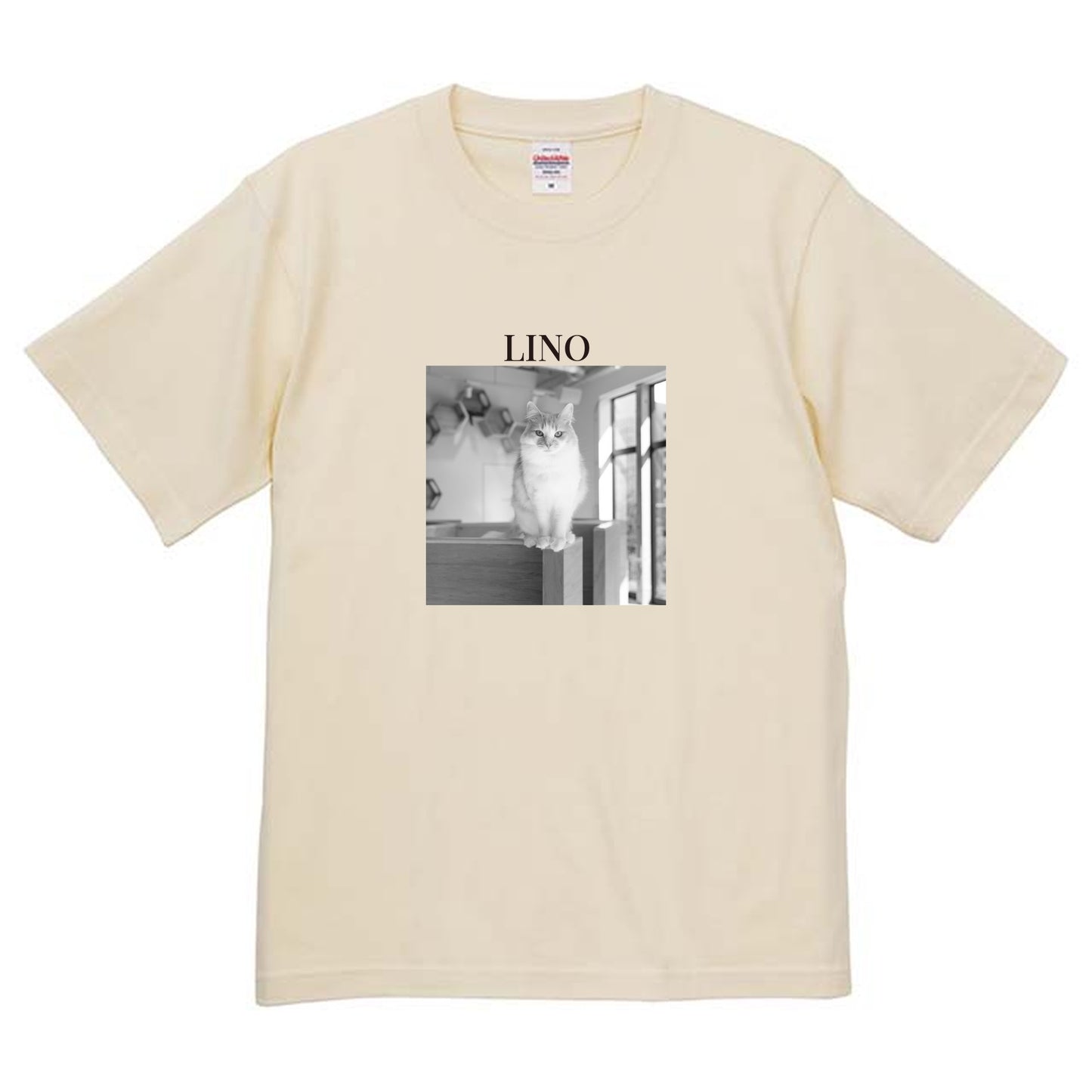 019
