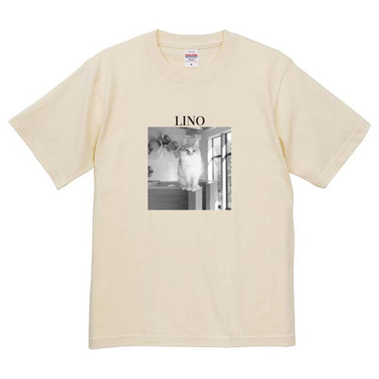 019