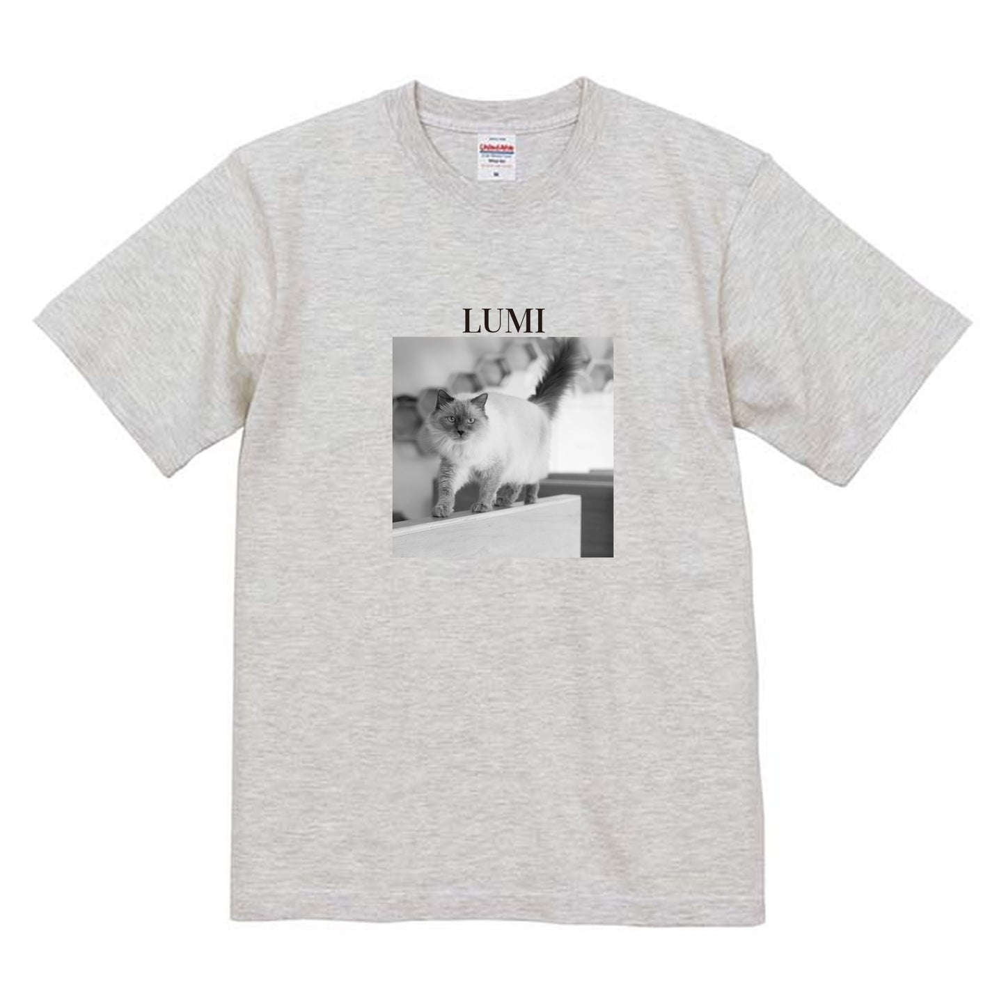 009