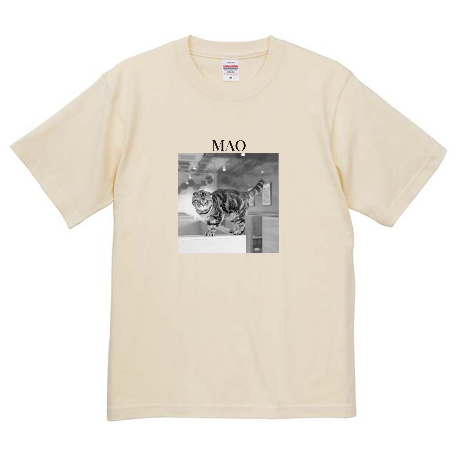 019
