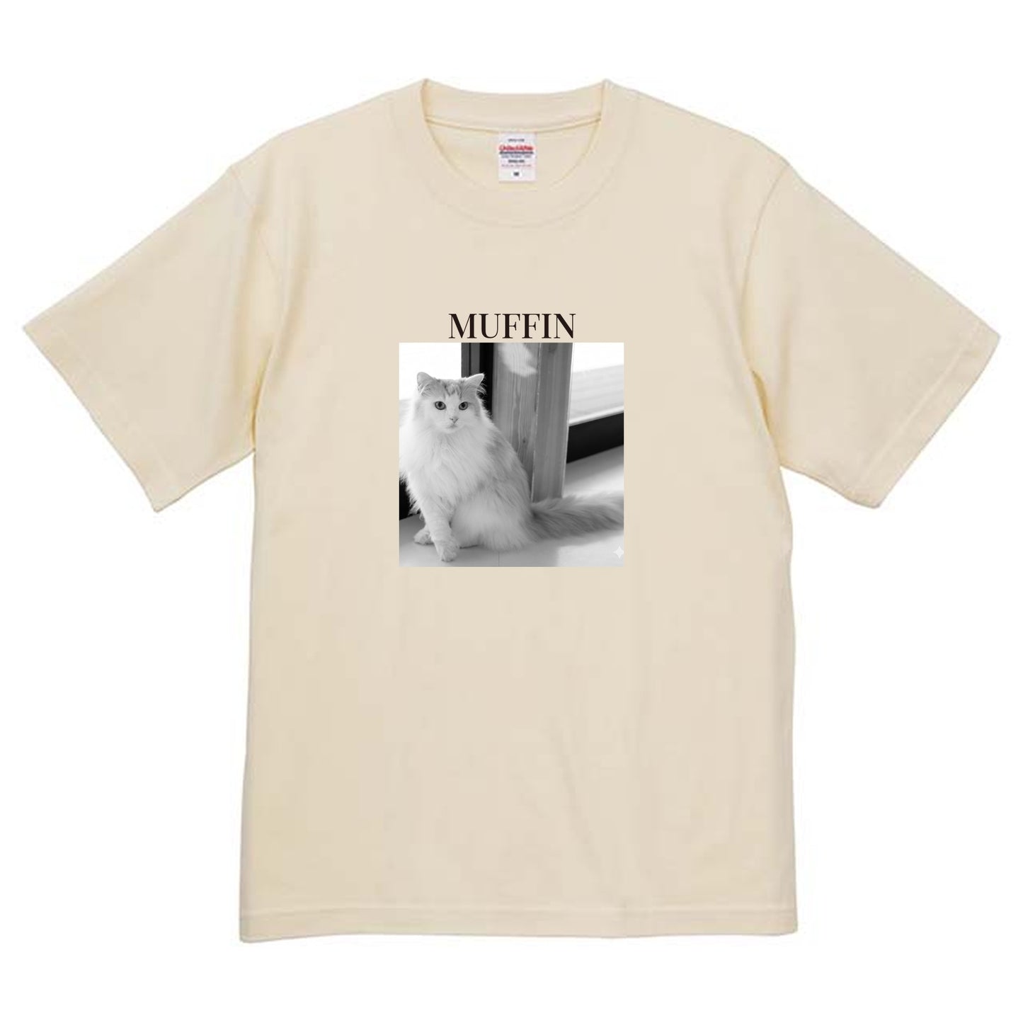 019