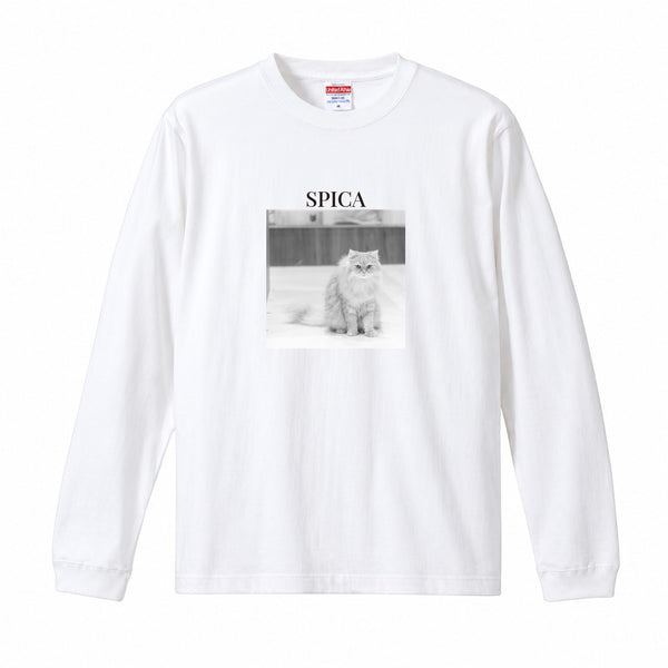 スピカ コットンロングTシャツ