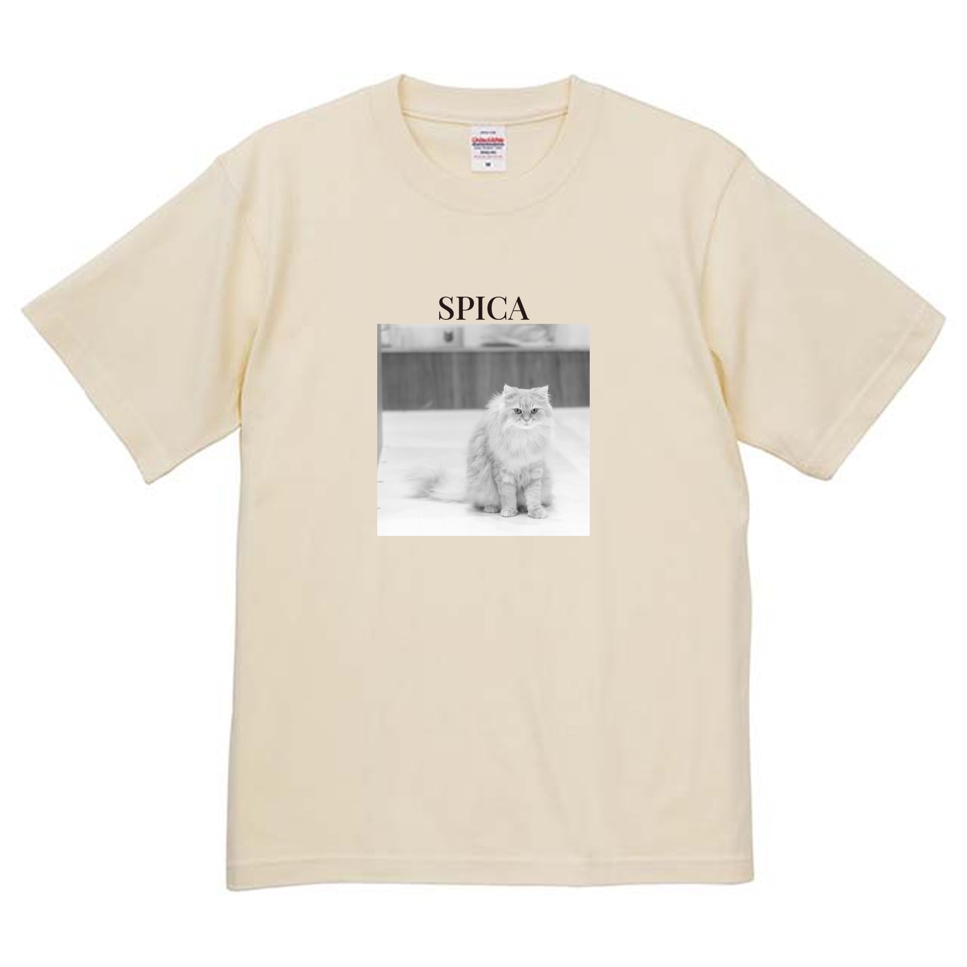 019
