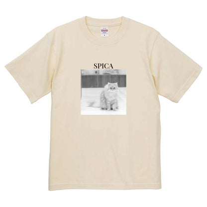 019
