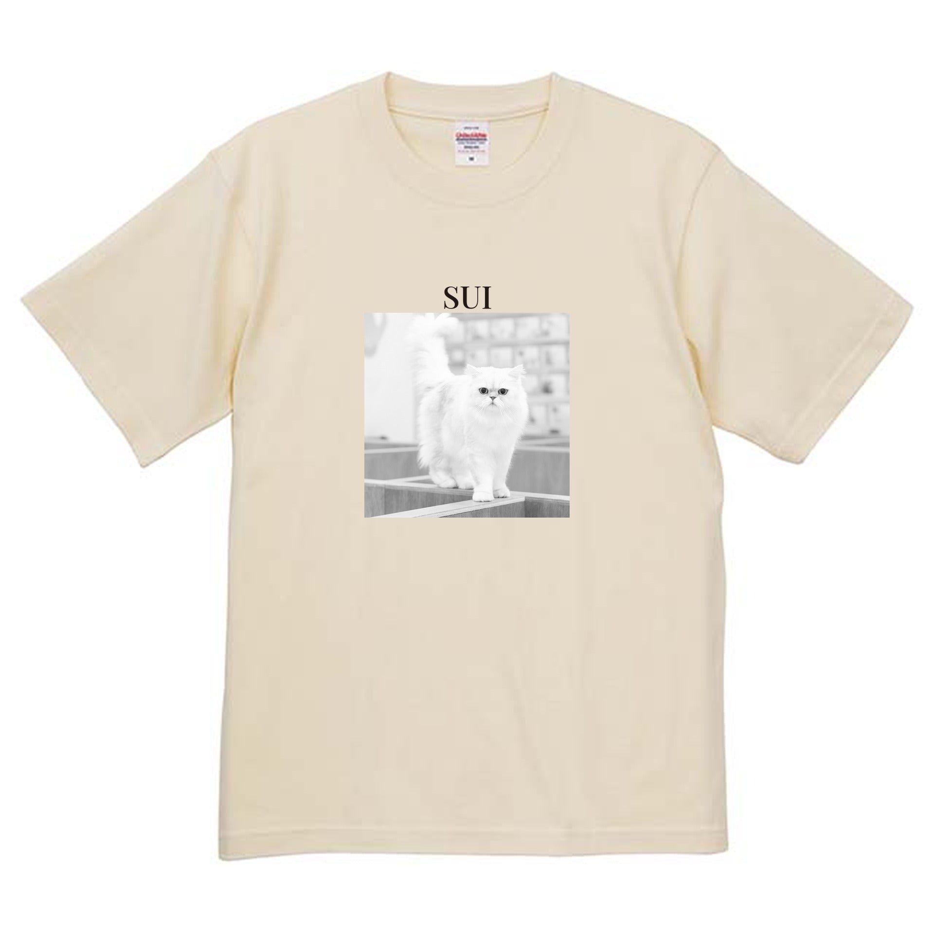 019