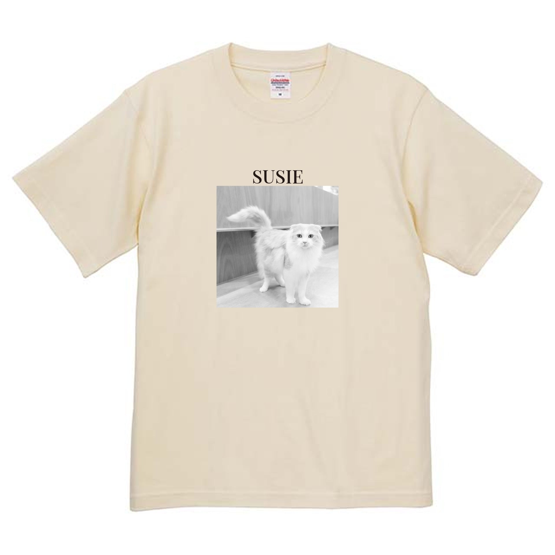 019