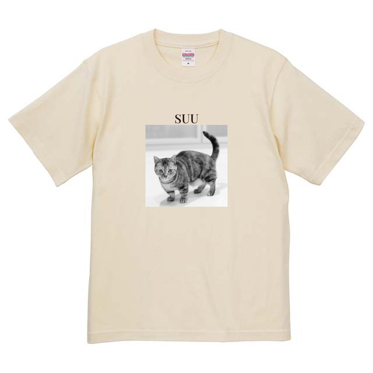 019