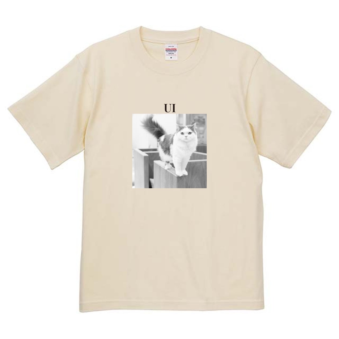 019