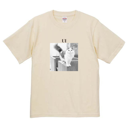 019
